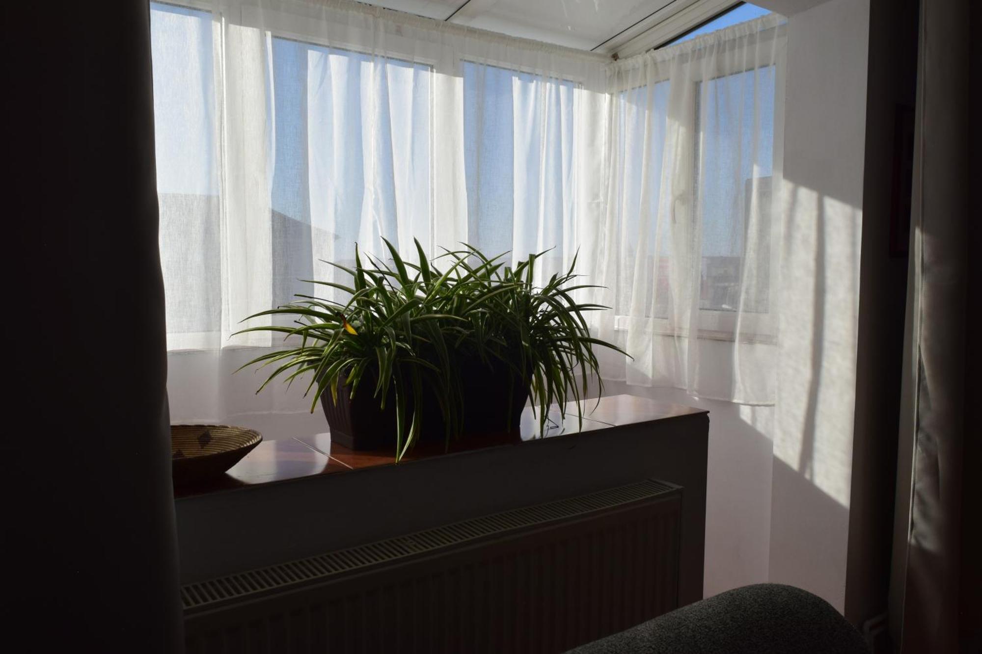 Apartament Simina Temešvár Exteriér fotografie